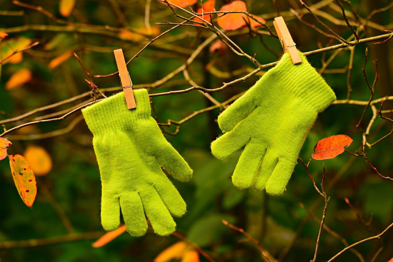 par de luvas verdes infantis penduradas em uma arvore de outono
