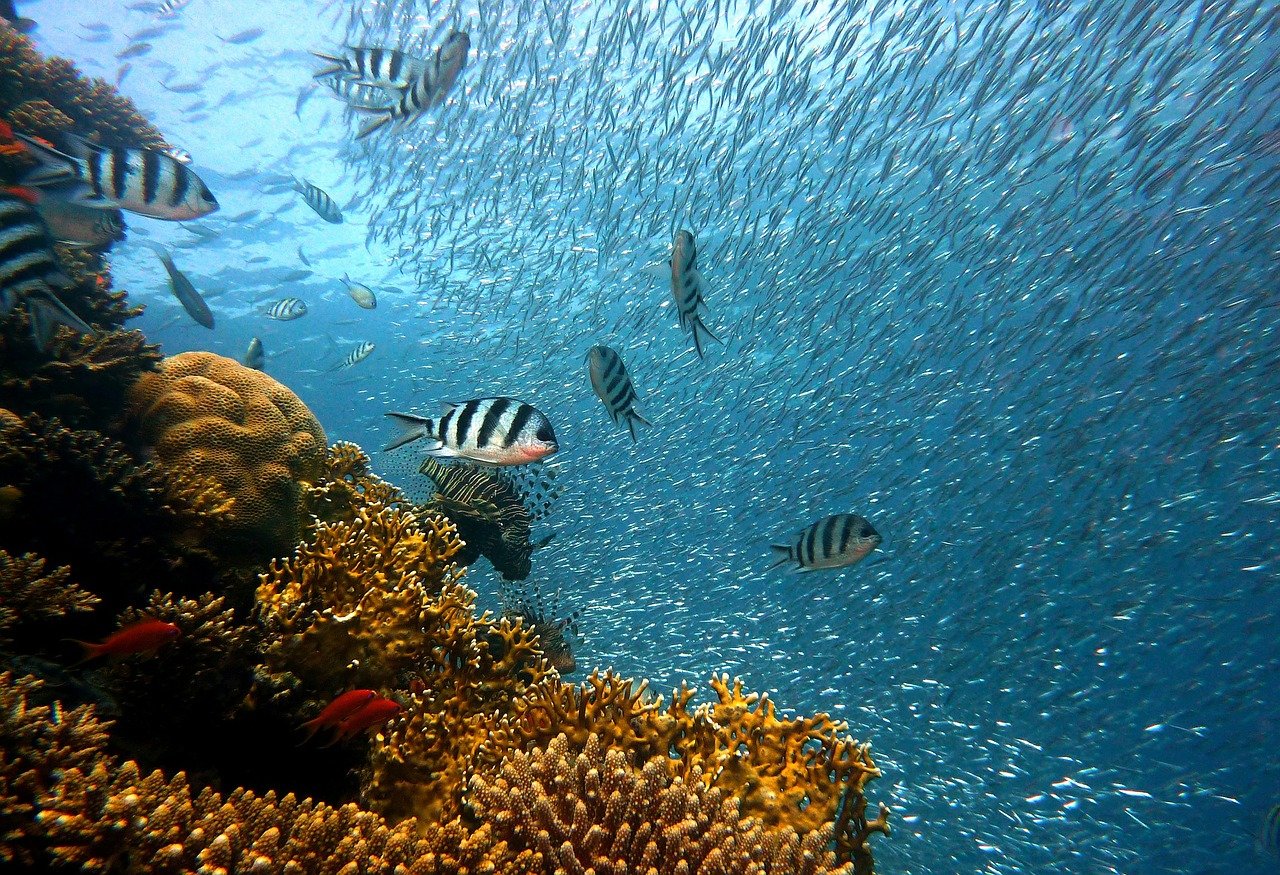 como chegar em porto de galinhas