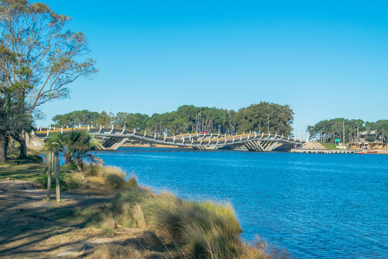 city tour punta del este ponte ondulante maldonado