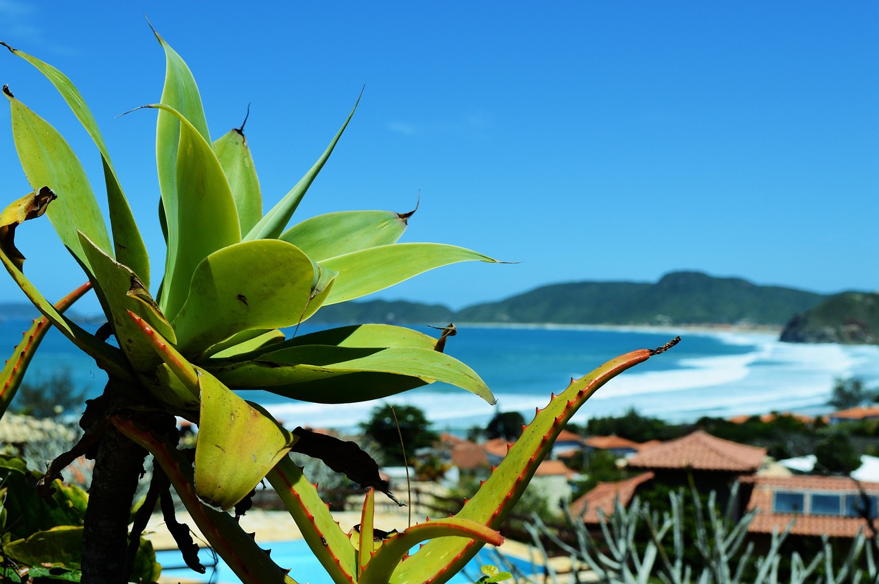 praias azeda e azedinha buzios
