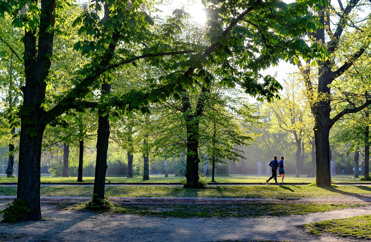passeio público Curitiba pratica de esportes no parque