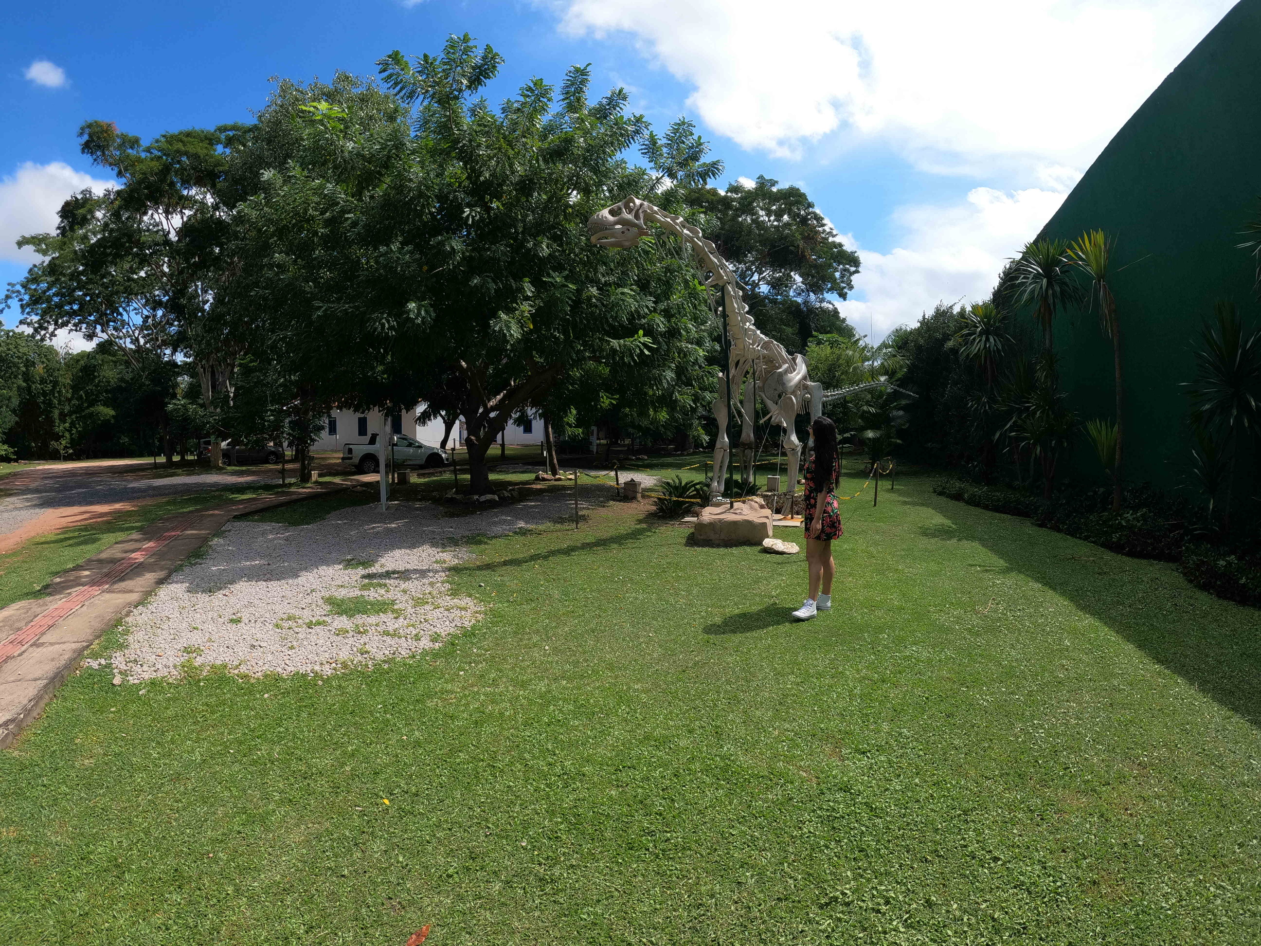 museu dinossauros cuiaba museu dinossauros cuiaba