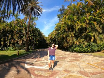 o que fazer em brumadinho, instituto inhotim