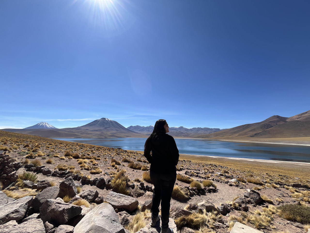lagunas altplanicas deserto do atacama