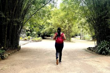 parques do rio de janeiro